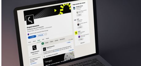 RINGTAIL INTERACTIVE